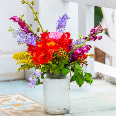 Wildflower Explosion